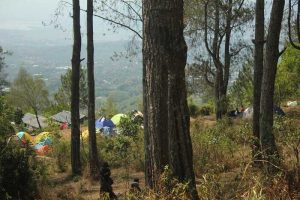 mawar camp semarang