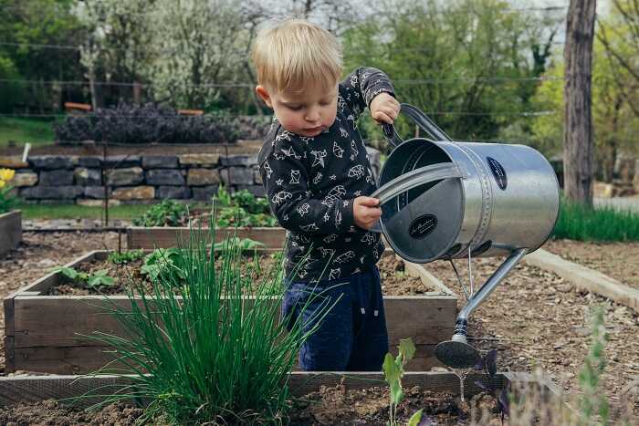 manfaat menanam dan merawat tanaman bersama anak menjadi alasa kenapa orang tua suka berkebun